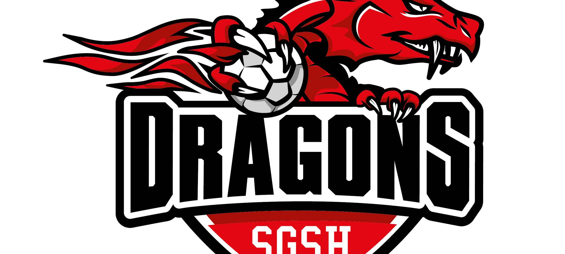 SGSH scheidet in erster Pokalrunde aus