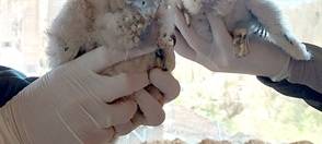 Die gute Nachricht des Tages - Rückblick Mai