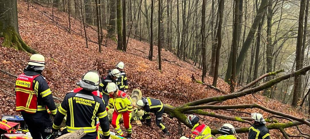 Die gute Nachricht des Tages - Rückblick Mai