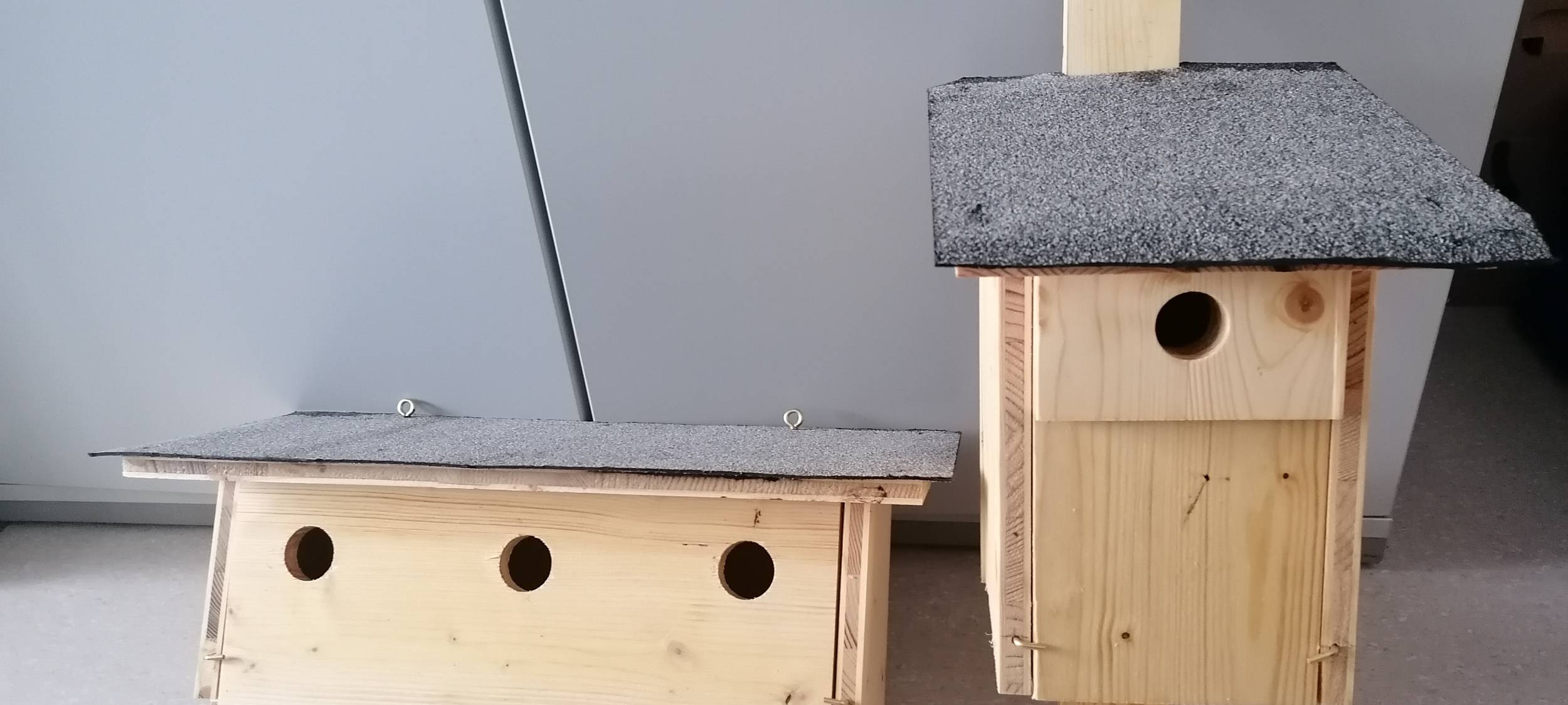 Die gute Nachricht des Tages - Rückblick Mai