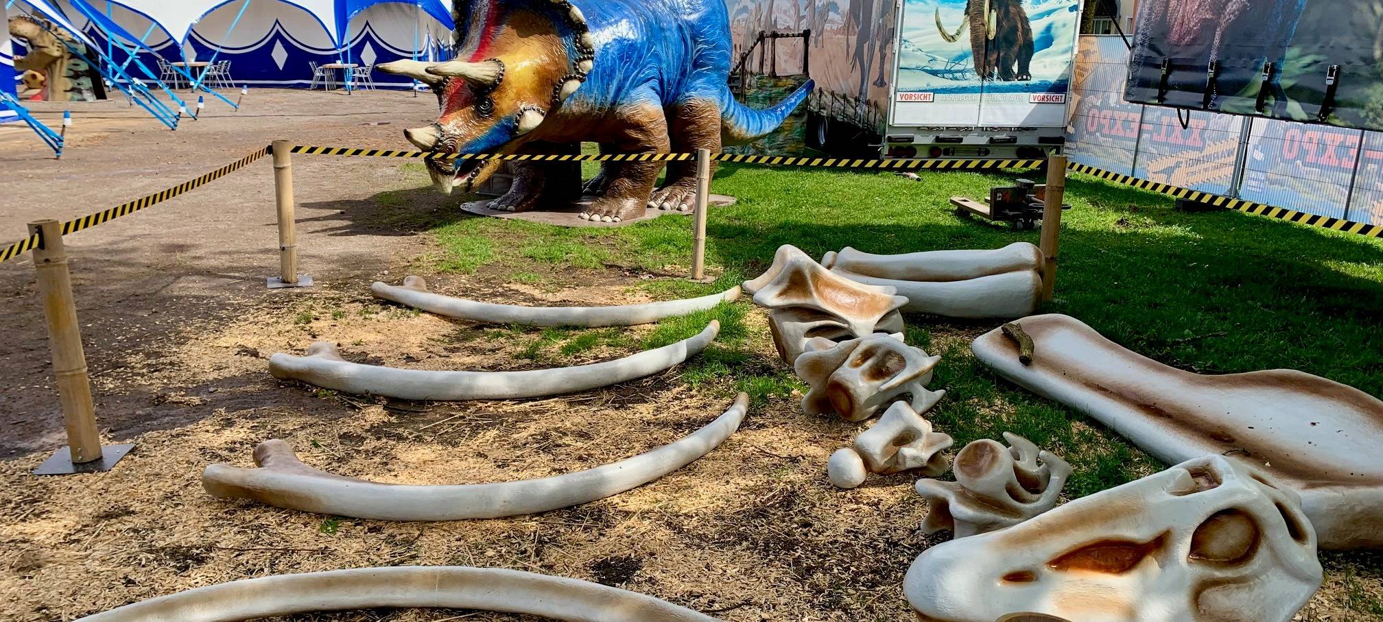 T-Rex zum anfassen