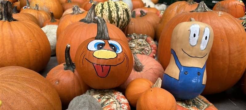 Halloween im MK: Was erlaubt ist und was nicht