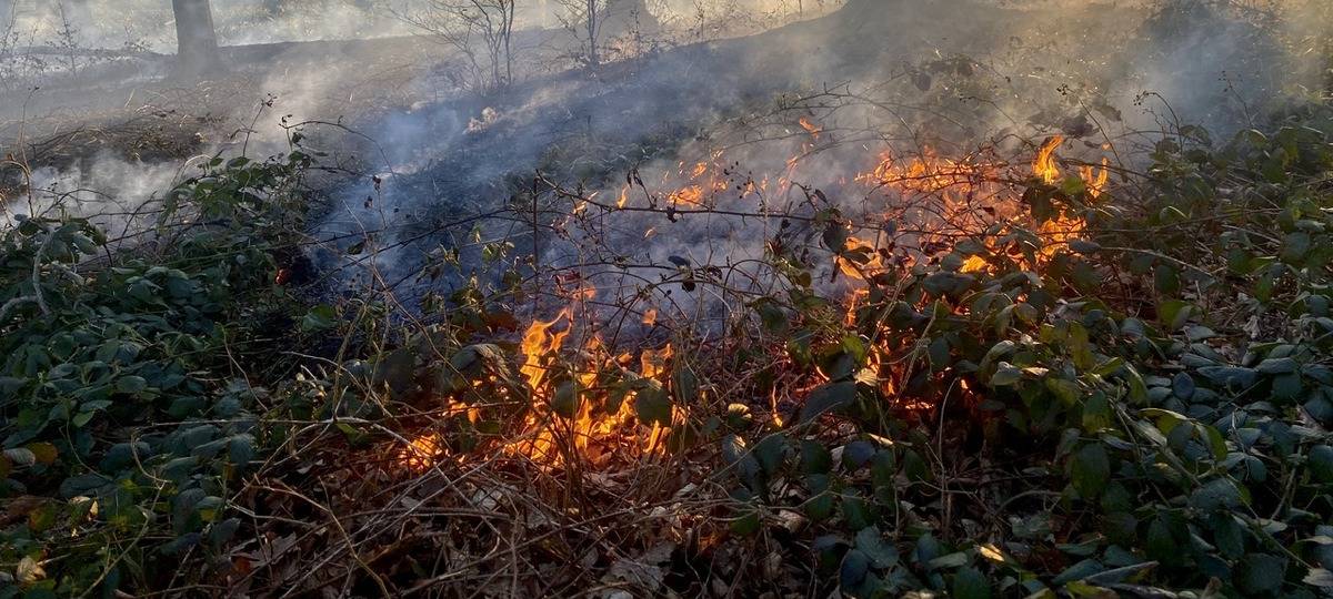 Zwei Waldbrände im MK: Kinder in Hemer atmen Rauch ein