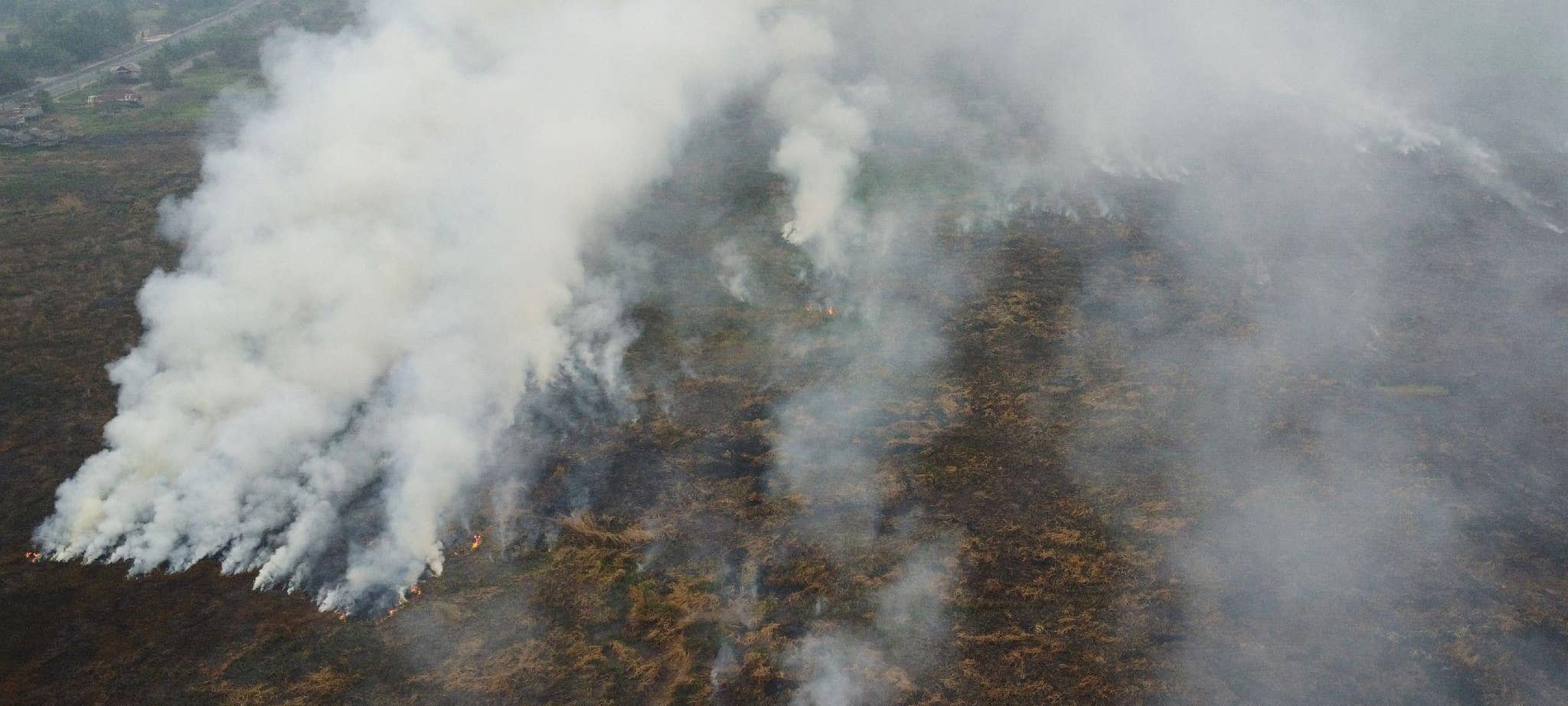 Waldbrände in Indonesien
